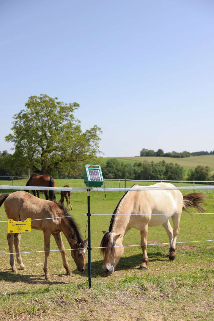 AKO Weidezaunseil PlatinumLine